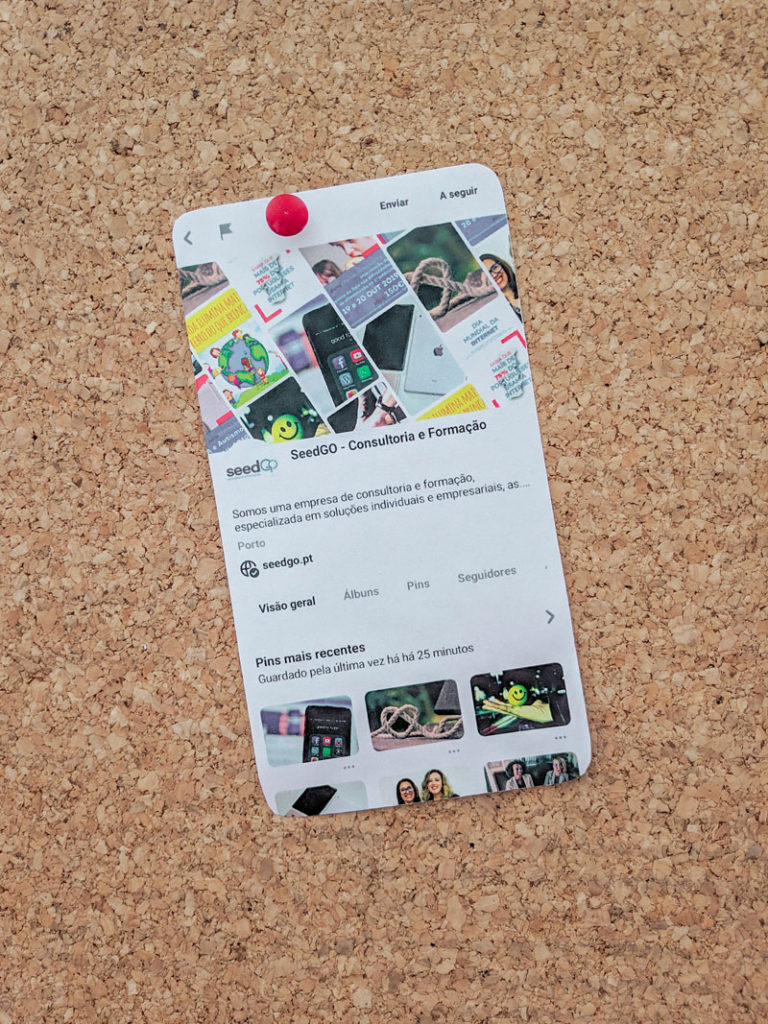 Dia Mundial das Redes Sociais - Pinterest