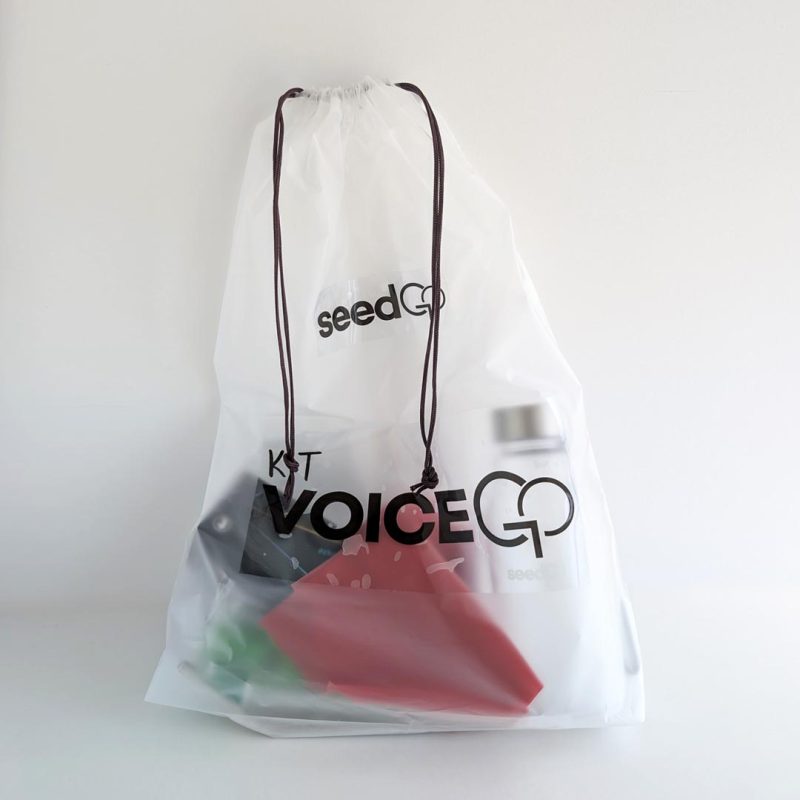 Kit VoiceGO