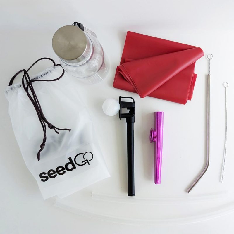 Kit VoiceGO